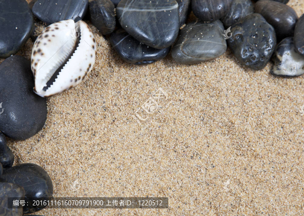 禪宗溫泉河巖石和貝殼在沙的形式邊界