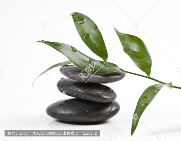 禪石和樹葉與水滴；孤立。SPA的背景