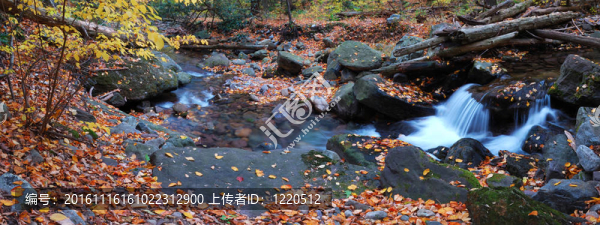 溪葉全景