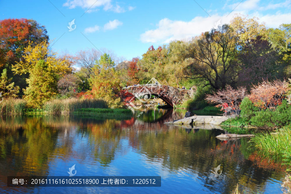 曼哈頓市紐約中央公園