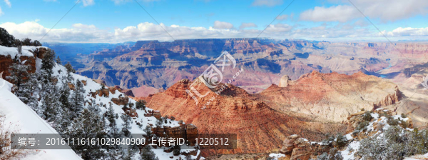 冬季大峽谷全景圖與雪