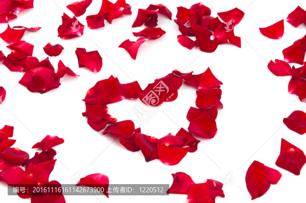 玫瑰花瓣的心