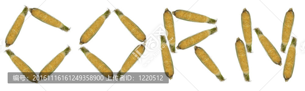 玉米粒