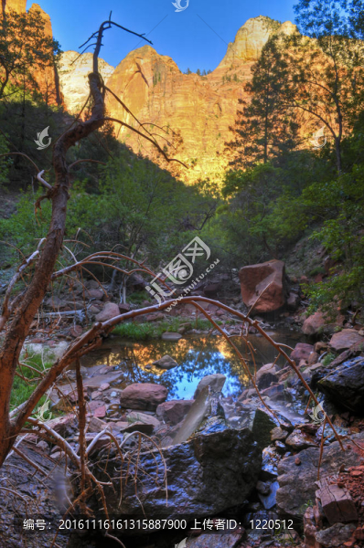 翡翠池