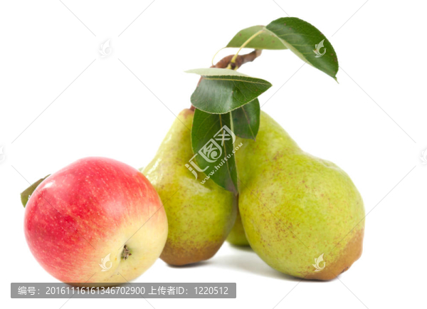 梨和蘋果