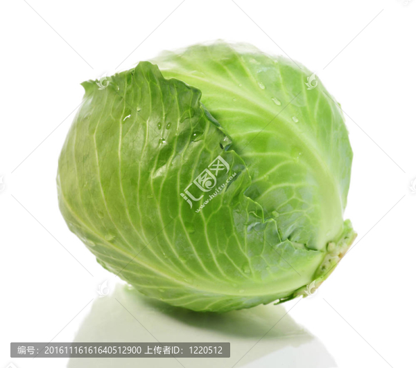 甘藍