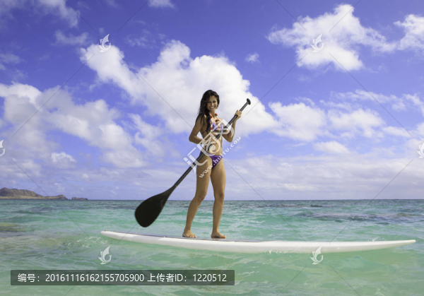 在夏威夷美麗的黑色的比基尼