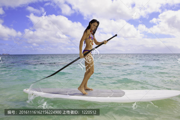 在夏威夷美麗的黑色的比基尼