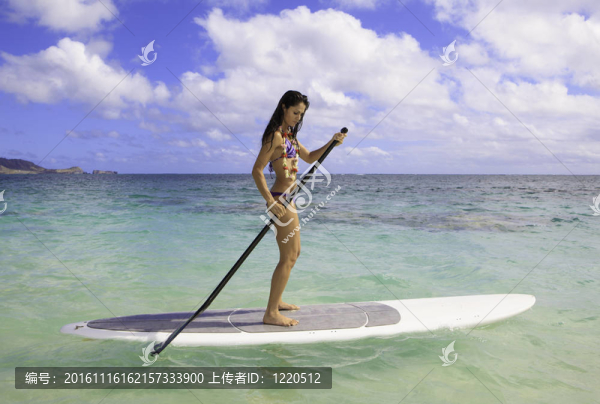 在夏威夷美麗的黑色的比基尼