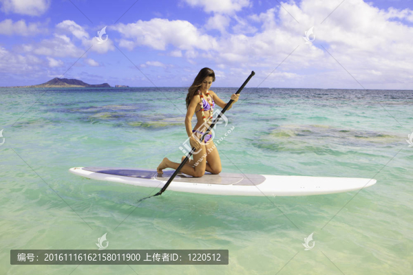 在夏威夷美麗的黑色的比基尼