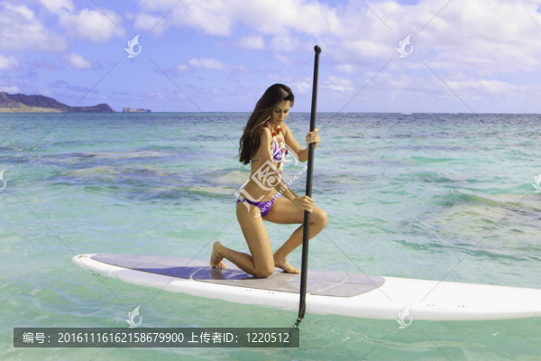 在夏威夷美麗的黑色的比基尼