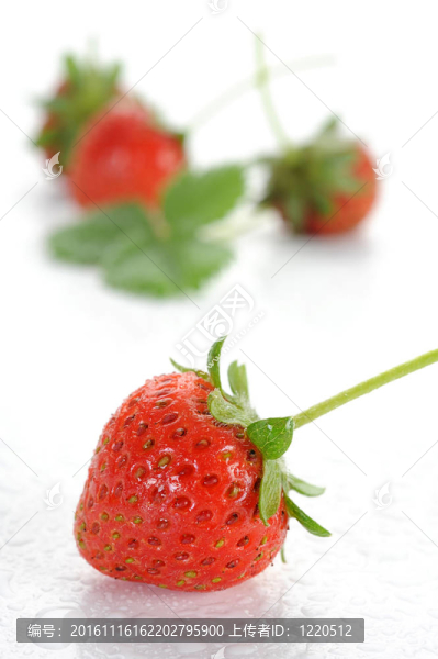草莓