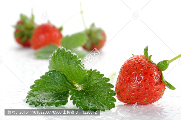 草莓