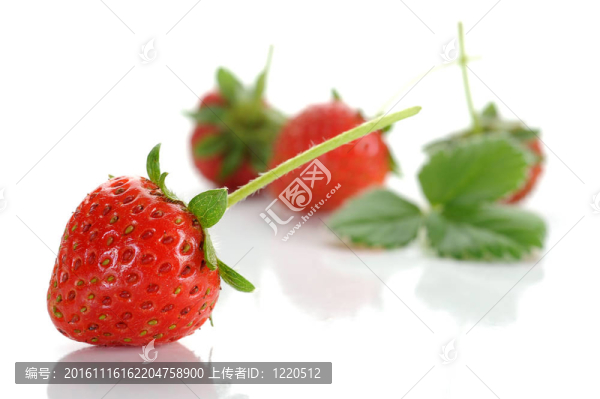 草莓