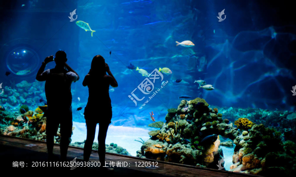真實(shí)水下背景