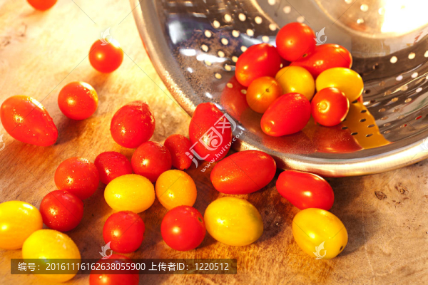大量新鮮的洗過的西紅柿