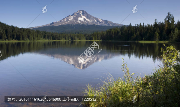 胡德山