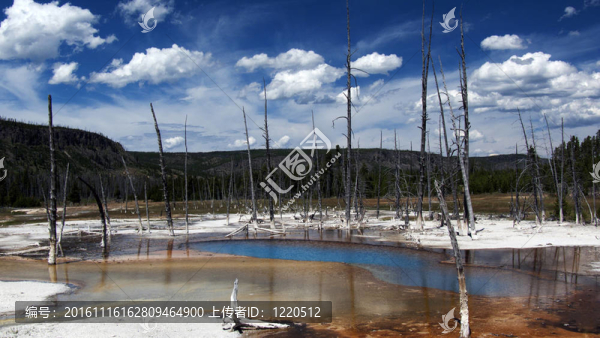 Yellowstone黑泉