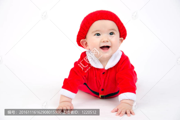 嬰兒在山丹丹