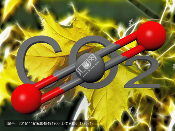 葉片上的二氧化碳符號(hào)