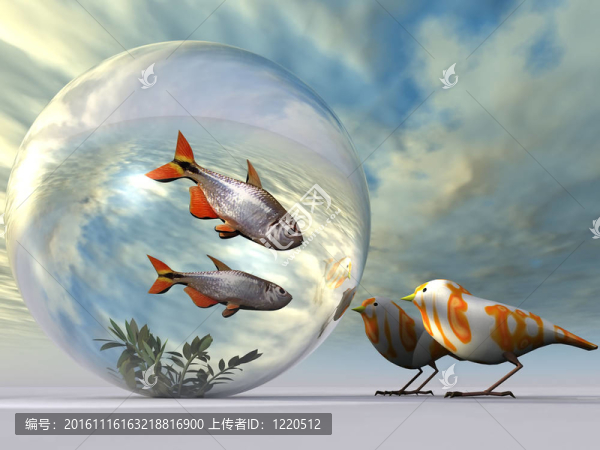 與鳥類的泡沫中的魚