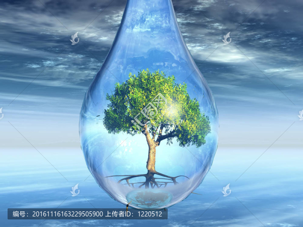 水滴中的樹