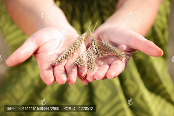 作物在手