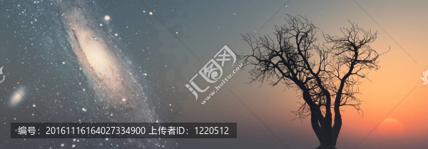在M的背景下的死樹