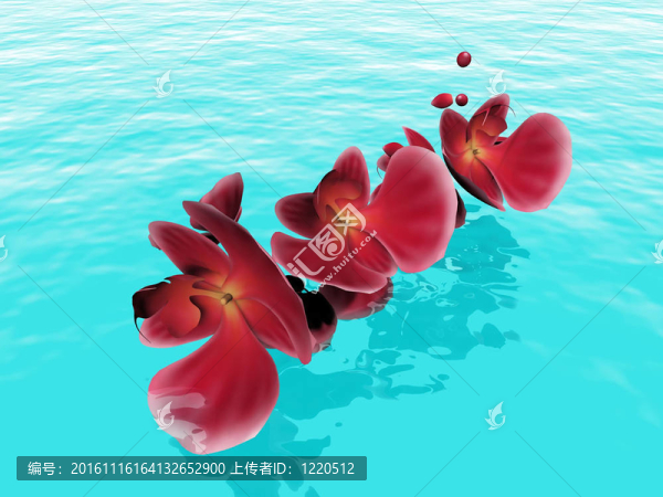 水上的紅蘭花花瓣