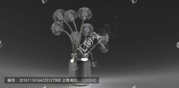 在盆栽蒲公英在一個(gè)灰色的BAC