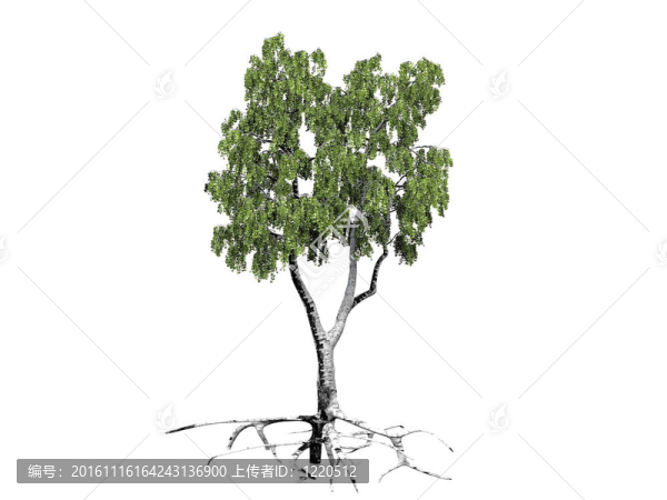 白色背景上的白-匯圖網(wǎng) www.fosd68.com 白色背景上的白