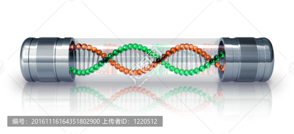 密封膠囊中的DNA分子