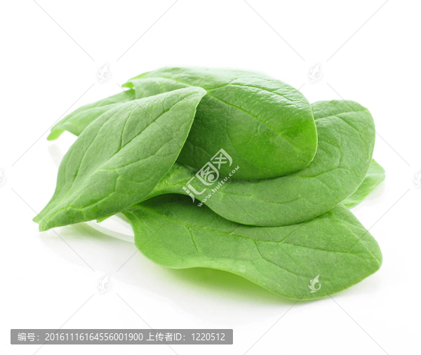 蔬菜色拉