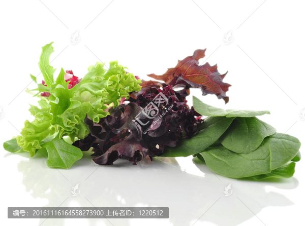 蔬菜色拉
