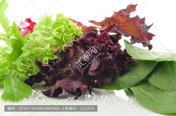 蔬菜色拉