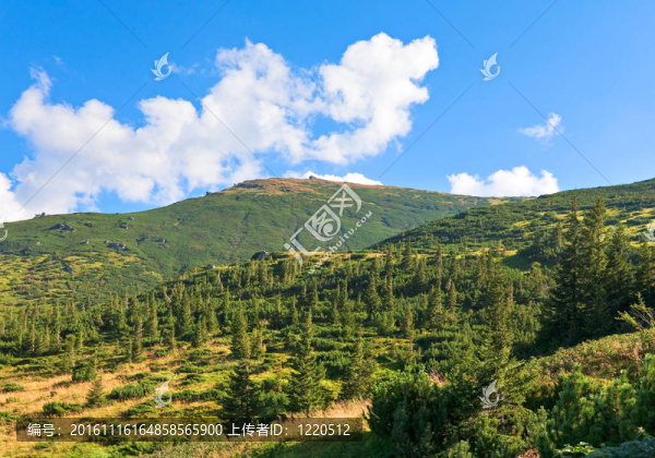 夏天的山景