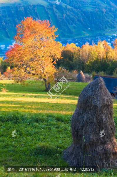 秋晚山