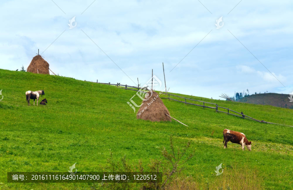 夏天的山村outscirts