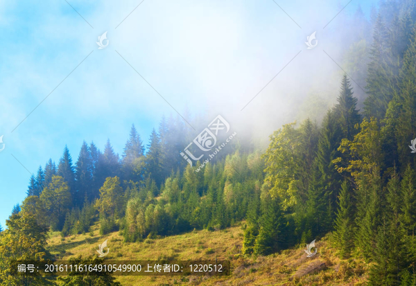 山上朦朧的早晨