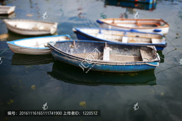 劃船的海