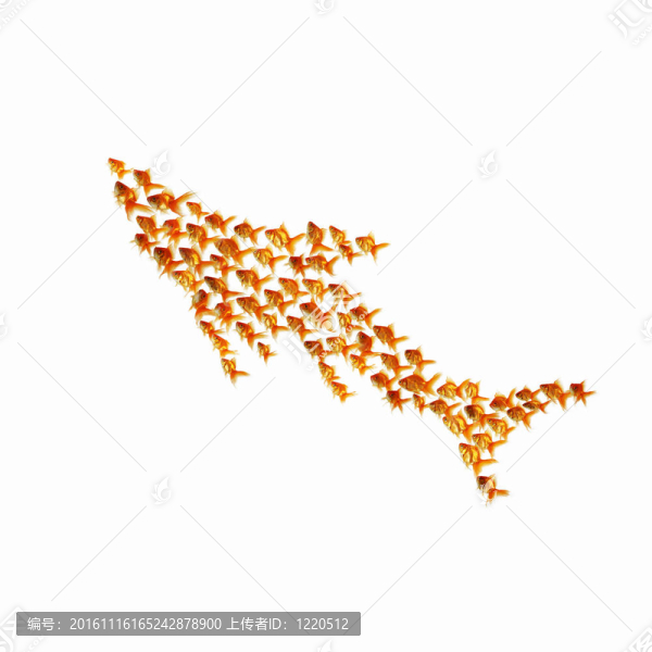金色的魚在一起
