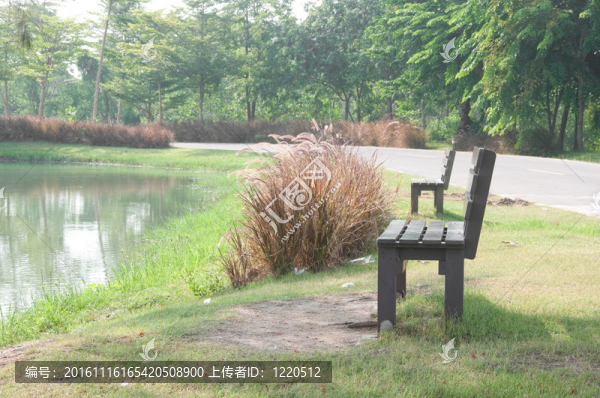 在花園的椅子上