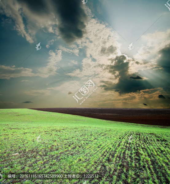 農(nóng)業(yè)綠色場與夕陽