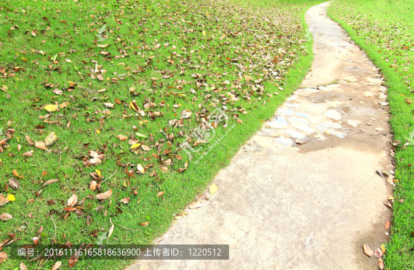 草園石徑