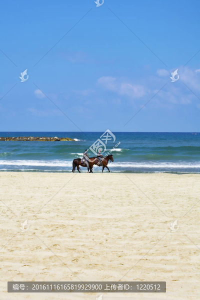 在海灘上巡邏