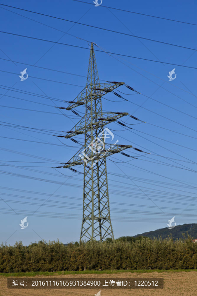 電廠在美麗多彩的草地