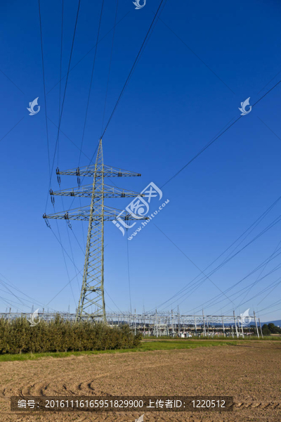 電廠在美麗多彩的草地