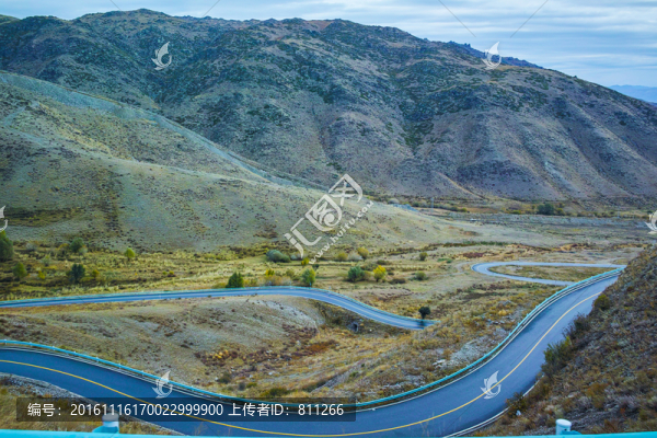 樺林公路