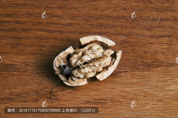 新鮮的核桃開