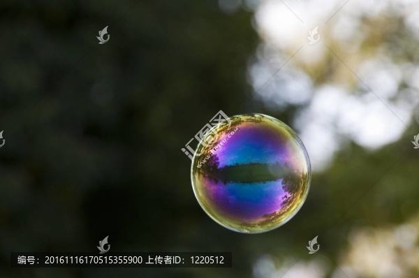 肥皂泡沫飛在樹前